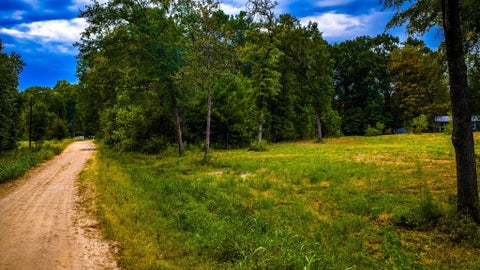 Vacant Land For Sale - TBD Forest Drive<br/> Livingston, TX 77351