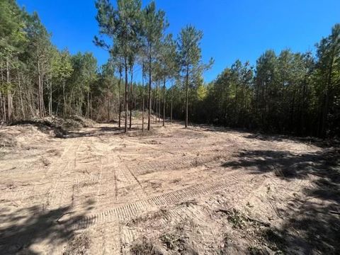 Vacant Land For Sale - TRACT 5-C Fm 161 N<br/> Cass County, Hughes Springs, TX 75656