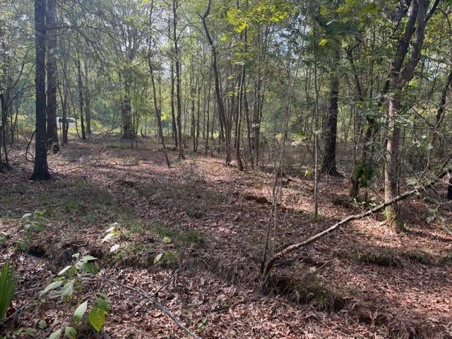 000 Wood Forest