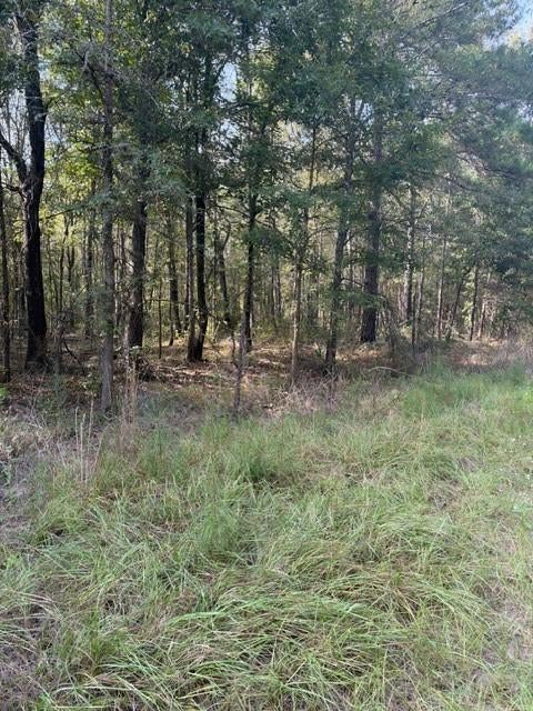 Photo of 0 Wood Forest, Livingston, TX 77351 (MLS # 90037426)