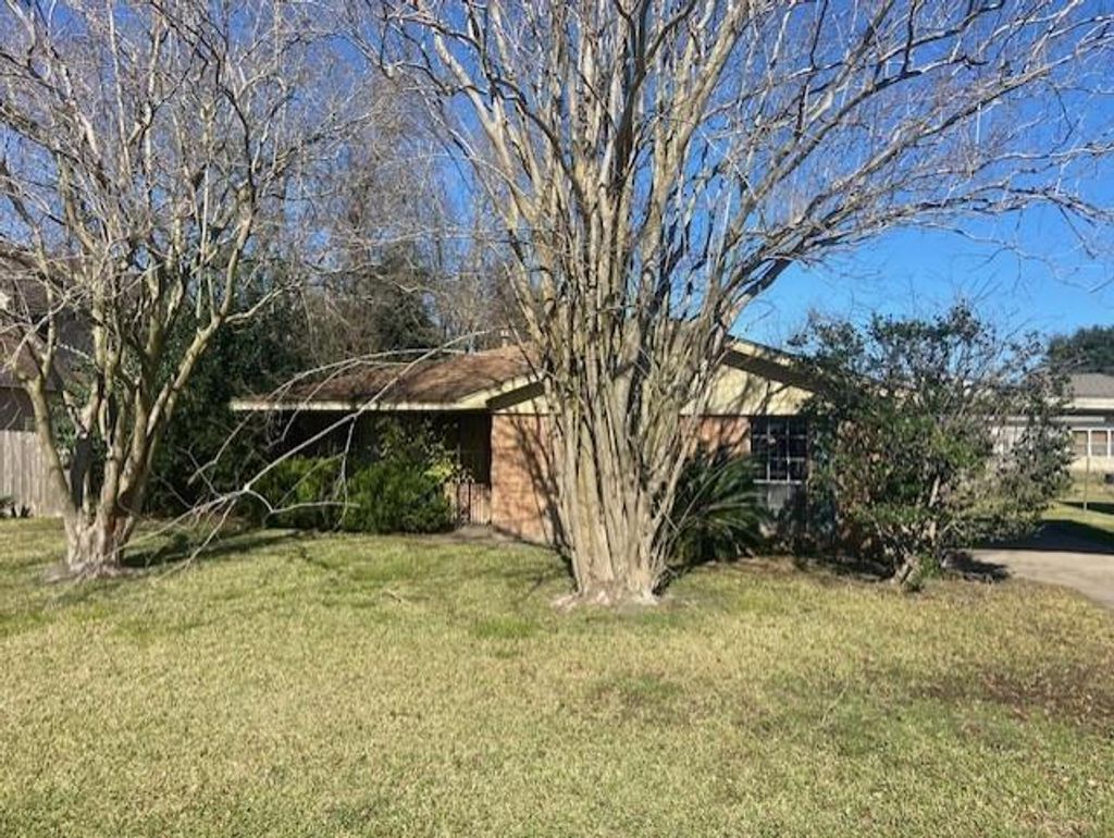 Photo of 3005 Barberry Drive, Houston, TX 77051 (MLS # 55663365)