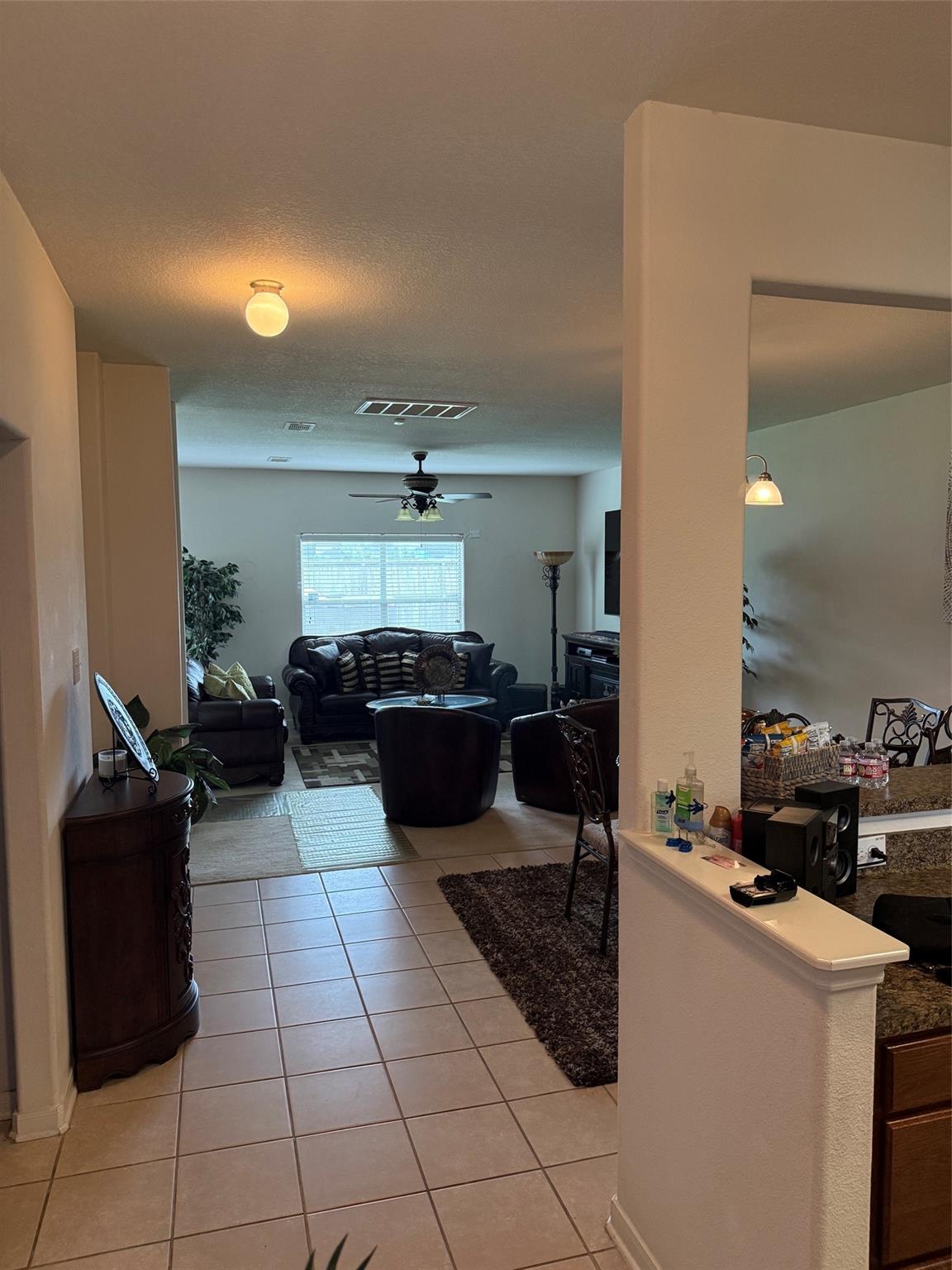 16203 Silver Wing Lane