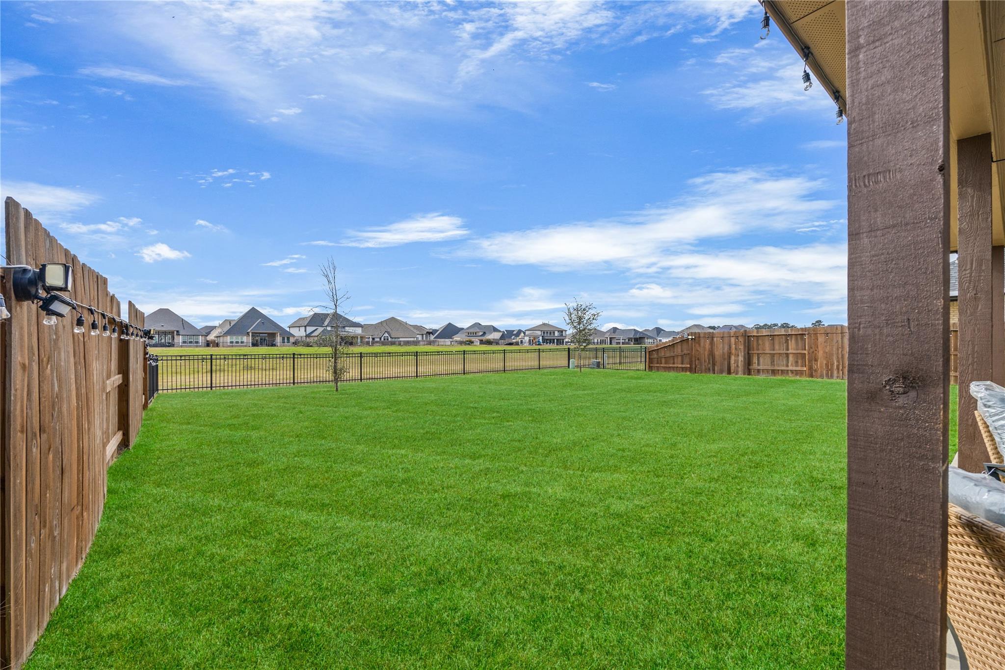 19019 Blossoming Buttercup Drive