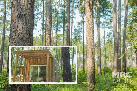 Vacant Land For Sale - 00 Forest Service Road 511<br/> Grapeland, TX 75844