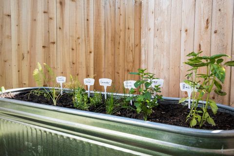 Tiny photo for 8016 Willow Street #B, Houston, TX 77088 (MLS # 11417755)