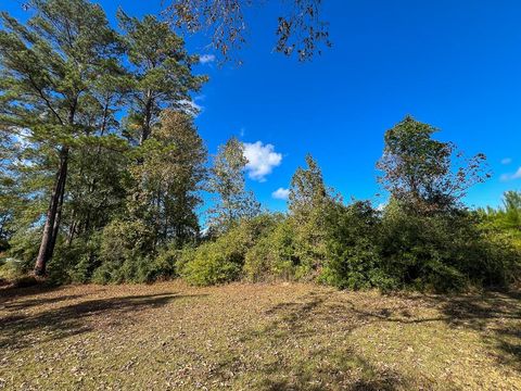 Vacant Land For Sale - T-2 Fm 787<br/> Votaw, TX 77376