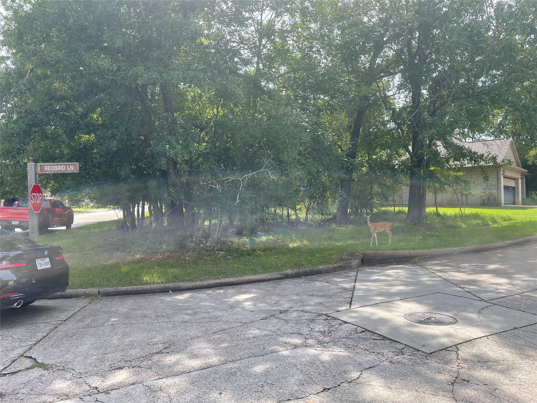 11623 Redbird Lane