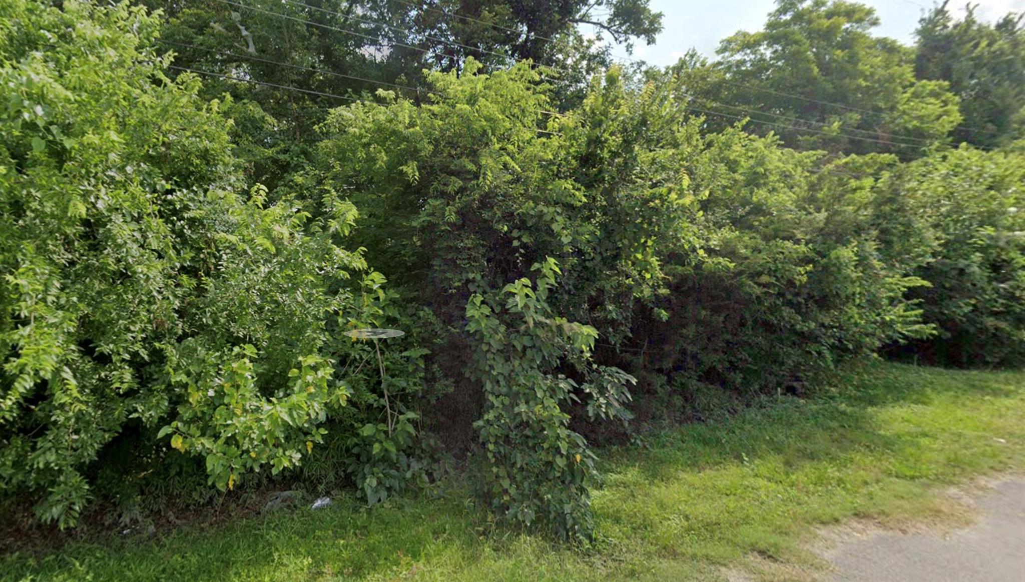 509 Frazer Lane