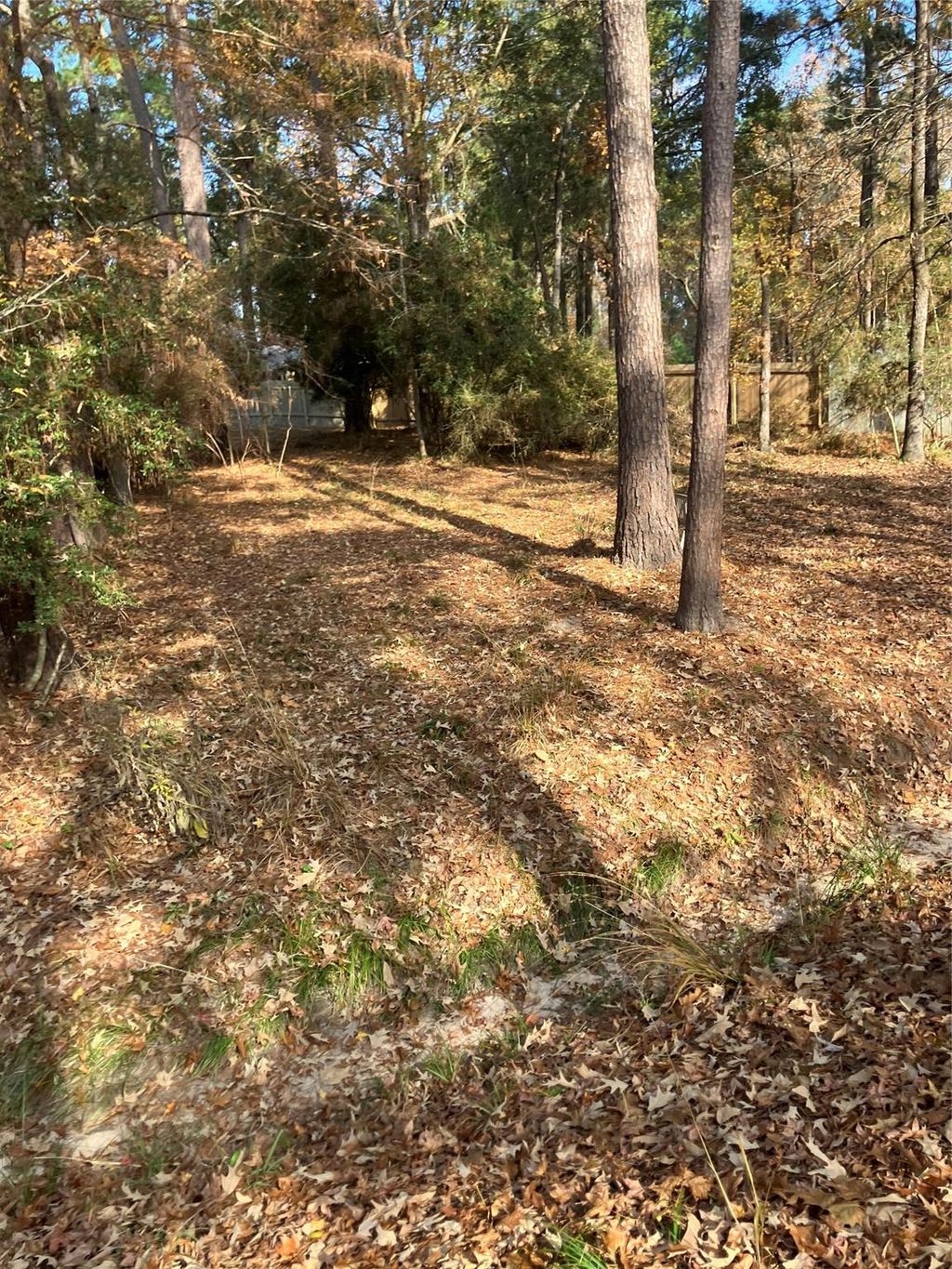 Photo of 242 Elm Trail, Trinity, TX 75862 (MLS # 33605780)