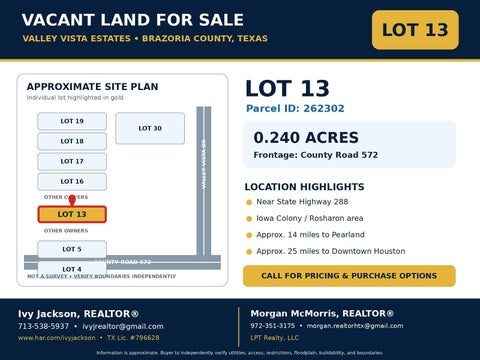 Vacant Land For Sale - LOT 13 County Rd 572<br/> Rosharon, TX 77583