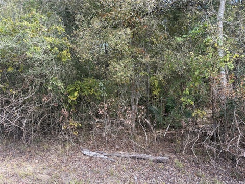 Photo of 510 Bayou Road County Road 848, Danbury, TX 77534 (MLS # 25149567)