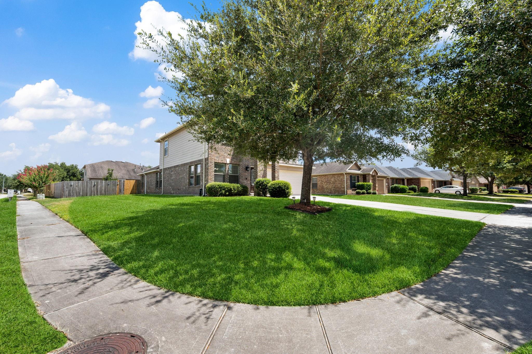 4614 Pin Oak