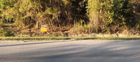 Vacant Land For Sale - 49 County Road 3479a<br/> Cleveland, TX 77327