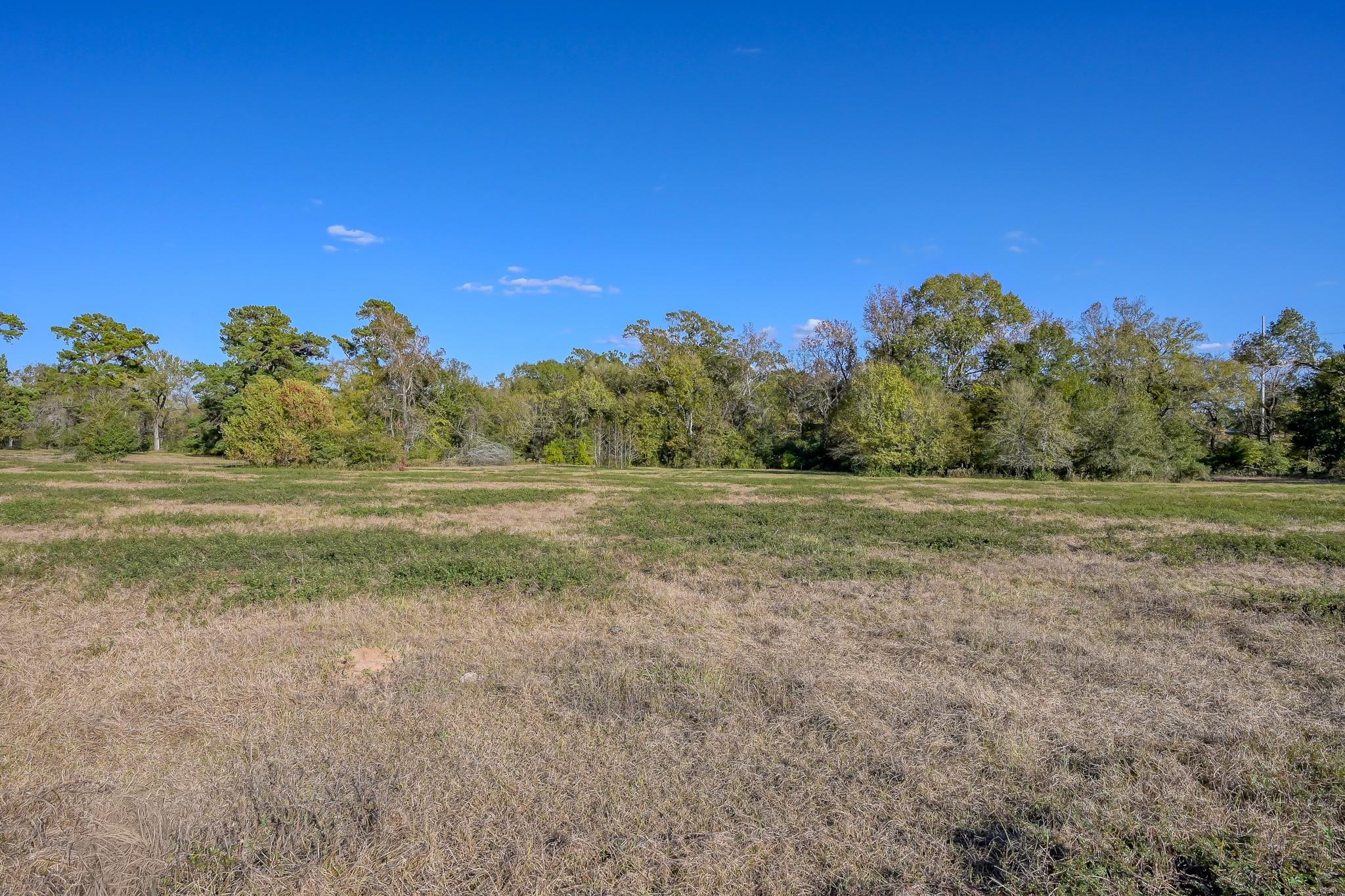 280 ACRES Spring Branch Road
