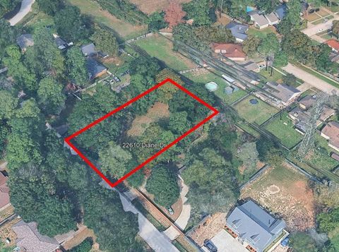 22610 Diane Drive Spring TX 77373