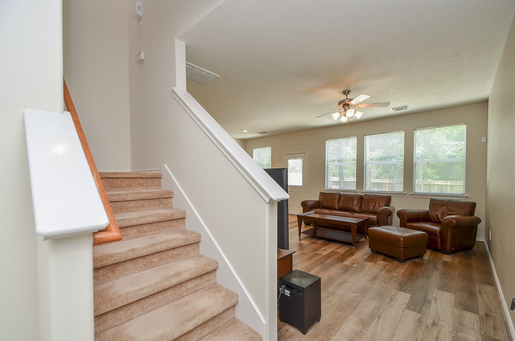 46 E Stedhill Loop