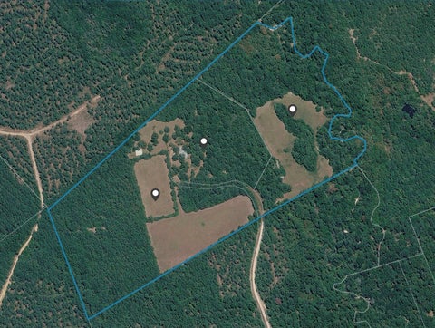 Photo of 1318 County Road 2011, Newton, TX 75966 (MLS # 91154613)