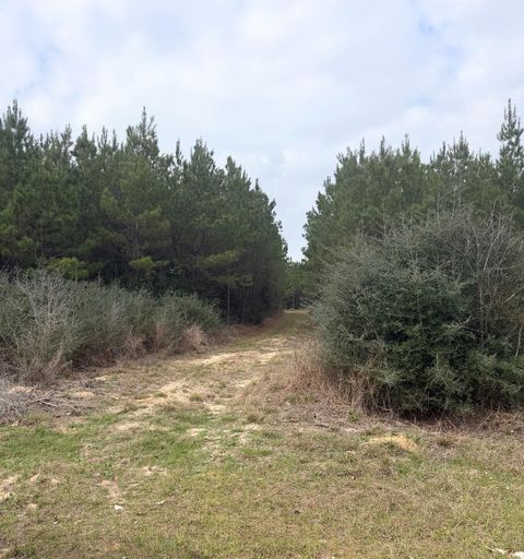 Photo of 10489 Us Highway 190 E, Livingston, TX 77351 (MLS # 56831574)