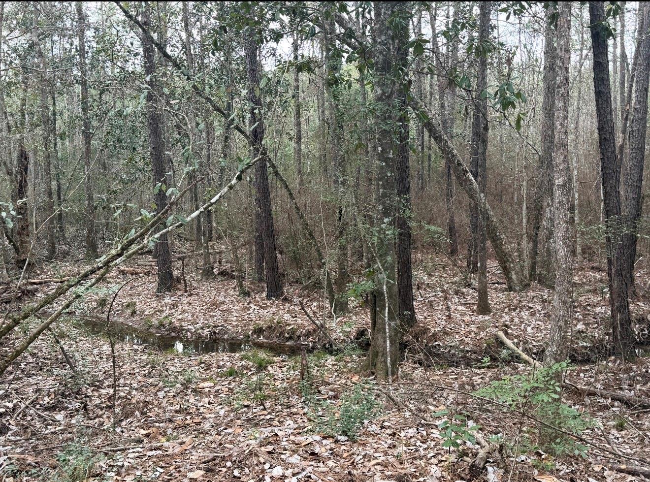 10489 Us Highway 190 E