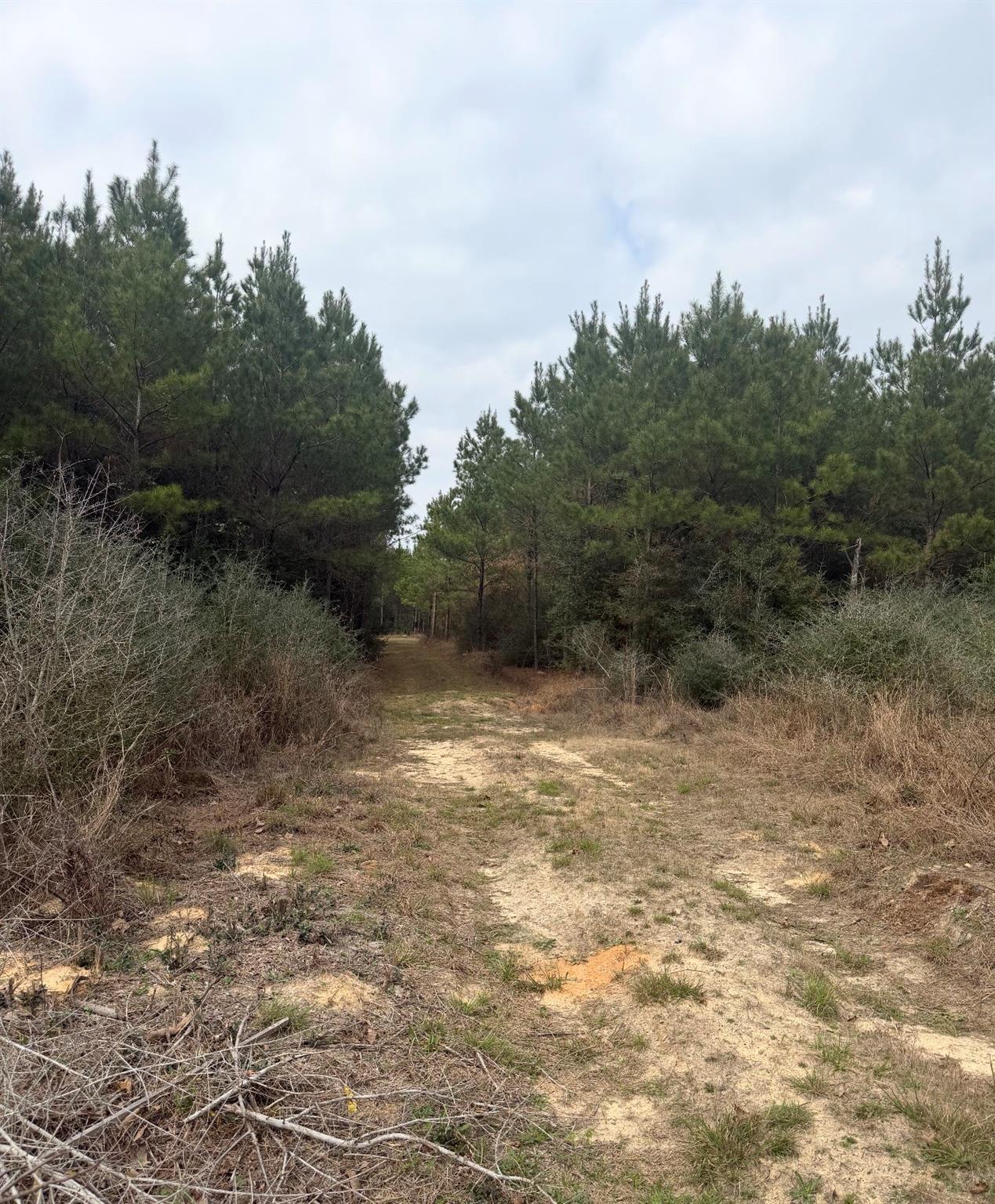 10489 Us Highway 190 E