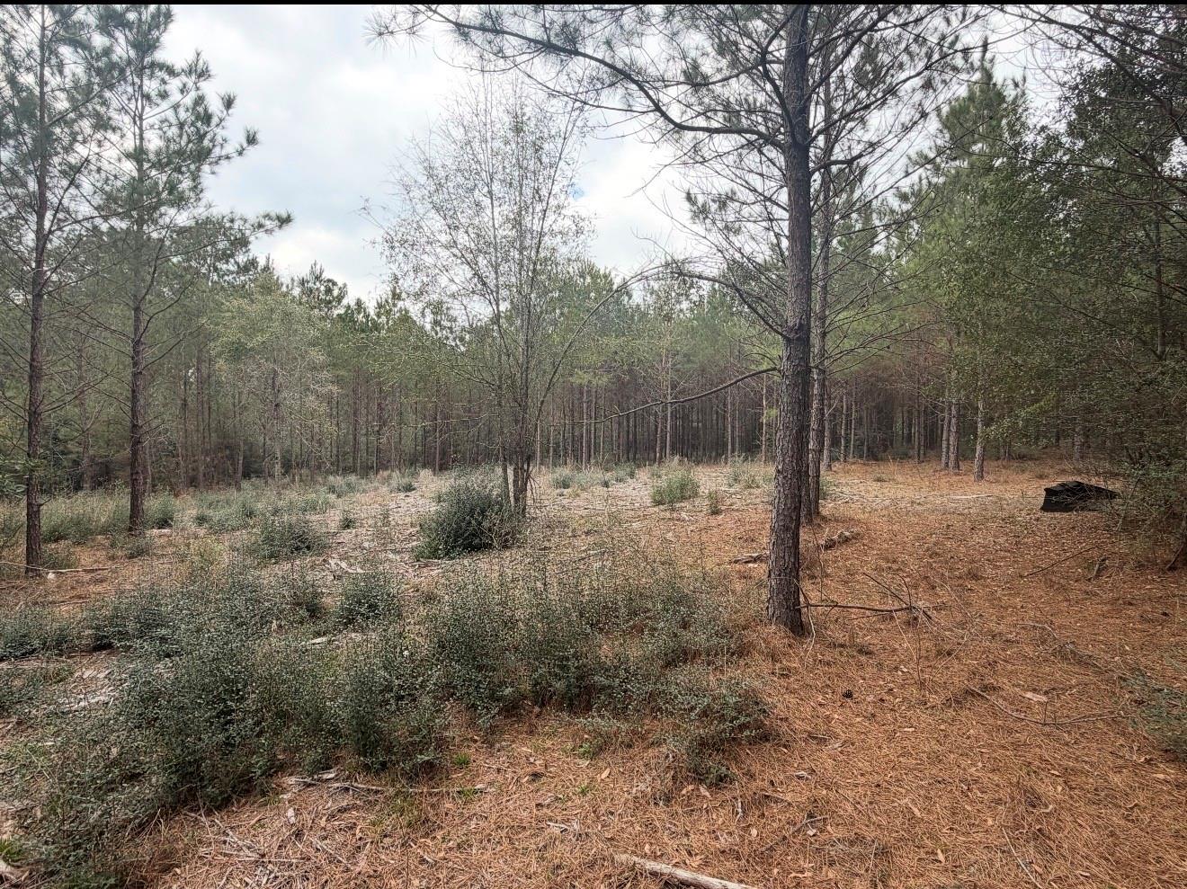 10489 Us Highway 190 E