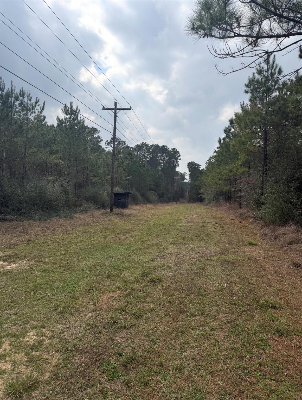 10489 Us Highway 190 E