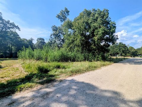Photo of 225 Robin Hood Drive, Livingston, TX 77351 (MLS # 7729953)