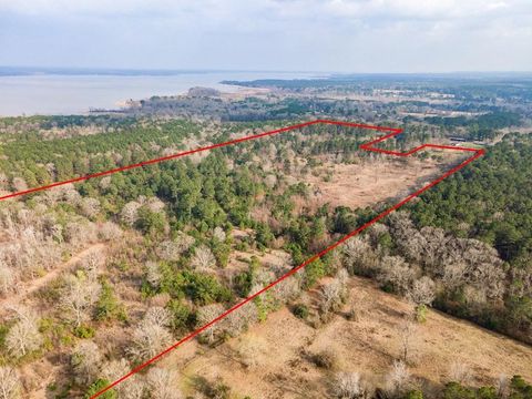 Vacant Land For Sale - 31964 Herman Nerren<br/> Huntington, TX 75949