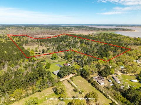 Photo of 31964 Herman Nerren, Huntington, TX 75949 (MLS # 96866904)