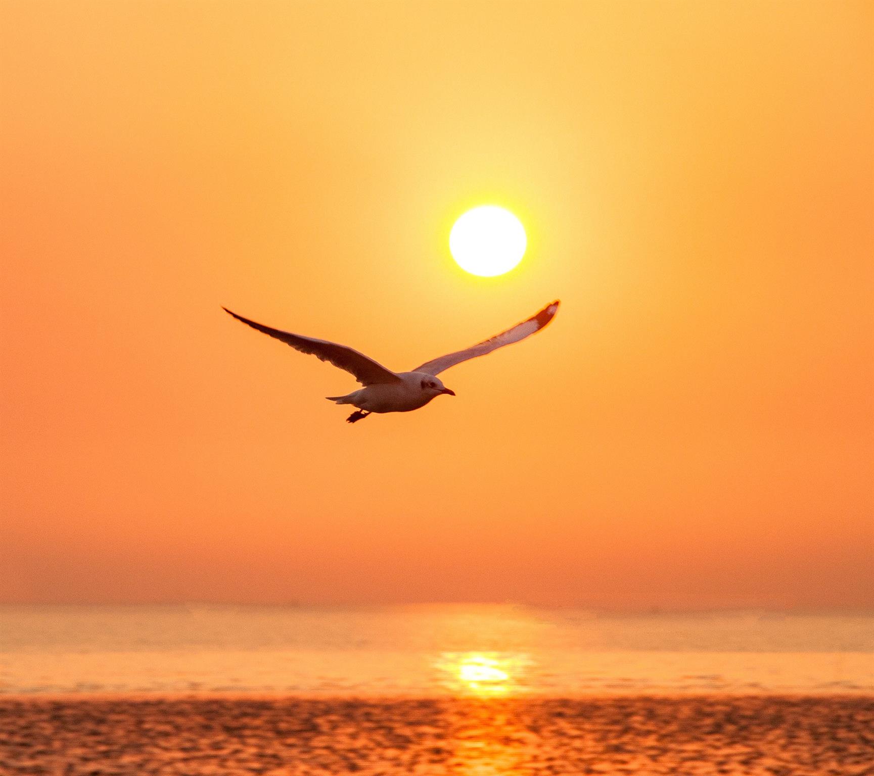 1228 N Redfish Street