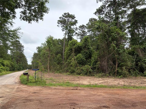 Vacant Land For Sale - Lucher<br/> Willis, TX 77378