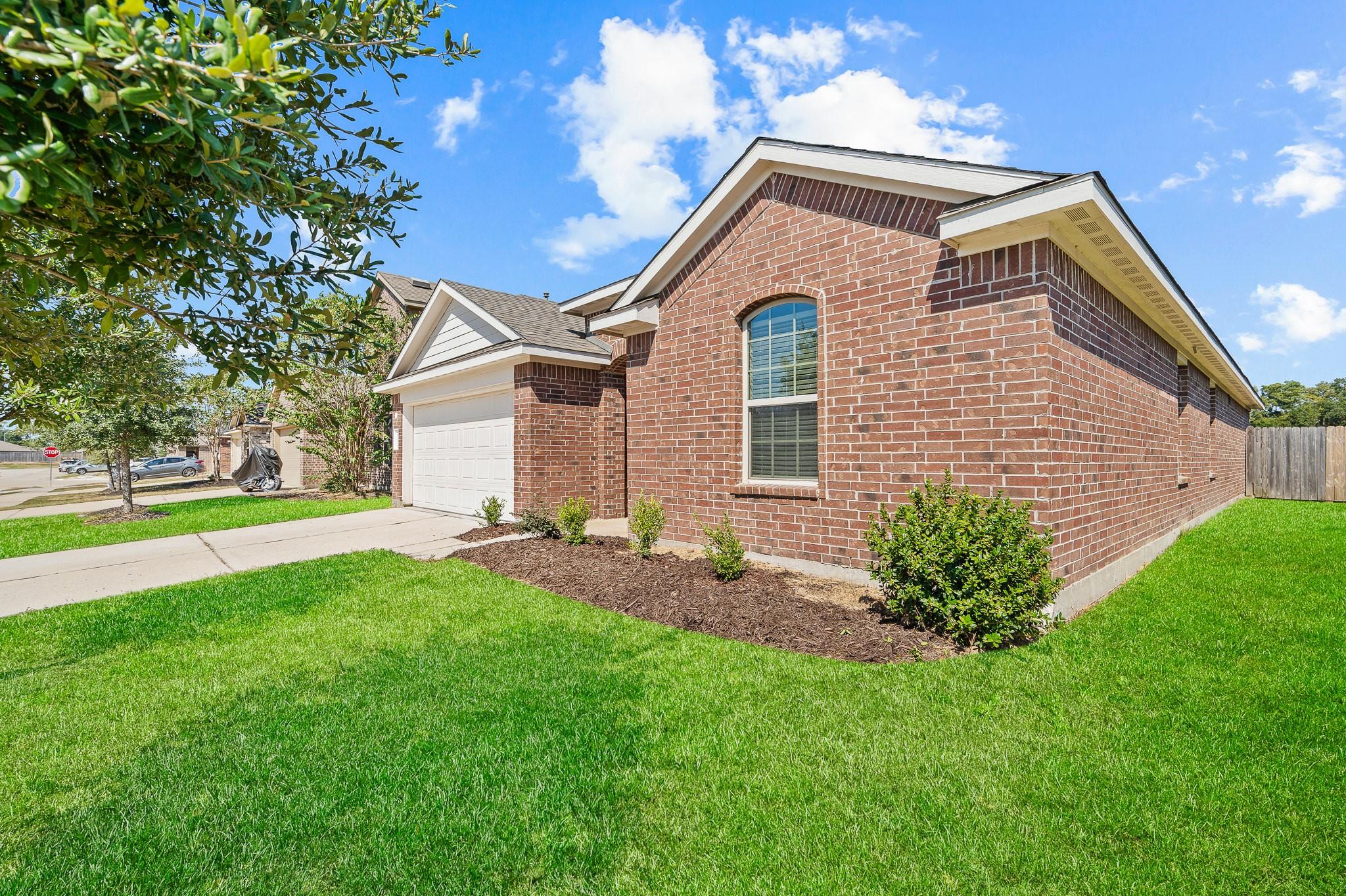23134 Royal Tiger Road