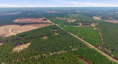 Photo of 1208 Holly Grove Road, Livingston, TX 77351 (MLS # 87247123)