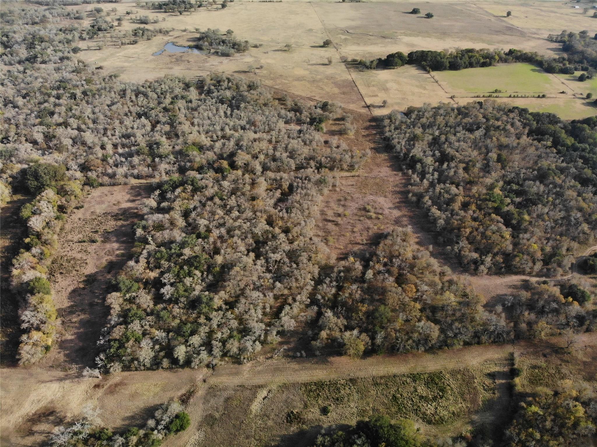 15.85 Acres Private Road 4001