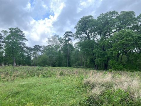 Photo of 0 N Mlk Drive, Ames, TX 77575 (MLS # 45221052)