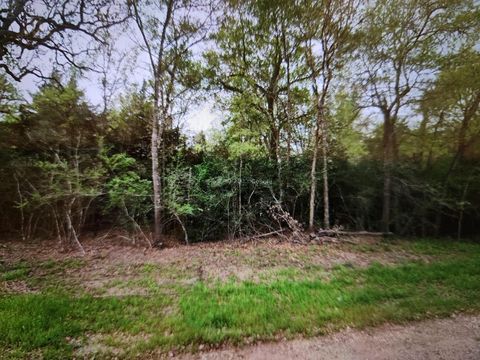 Vacant Land For Sale - S Swan Lake Drive<br/> Caldwell, TX 77836