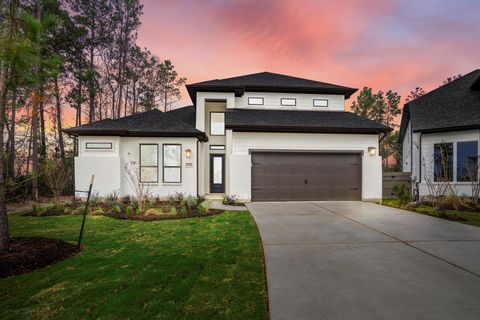 Photo of 17206 Blooming Suzans Lane, Conroe, TX 77302 (MLS # 7757472)