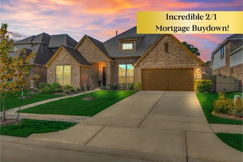 10660 Red Tail Place Conroe TX 77385