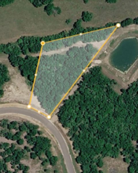 Vacant Land For Sale - 000 LOT 29 Winding Branch<br/> Chappell Hill, TX 77426