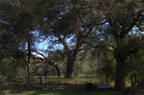Photo of 0 Kickler Road, Fayetteville, TX 78940 (MLS # 78177643)