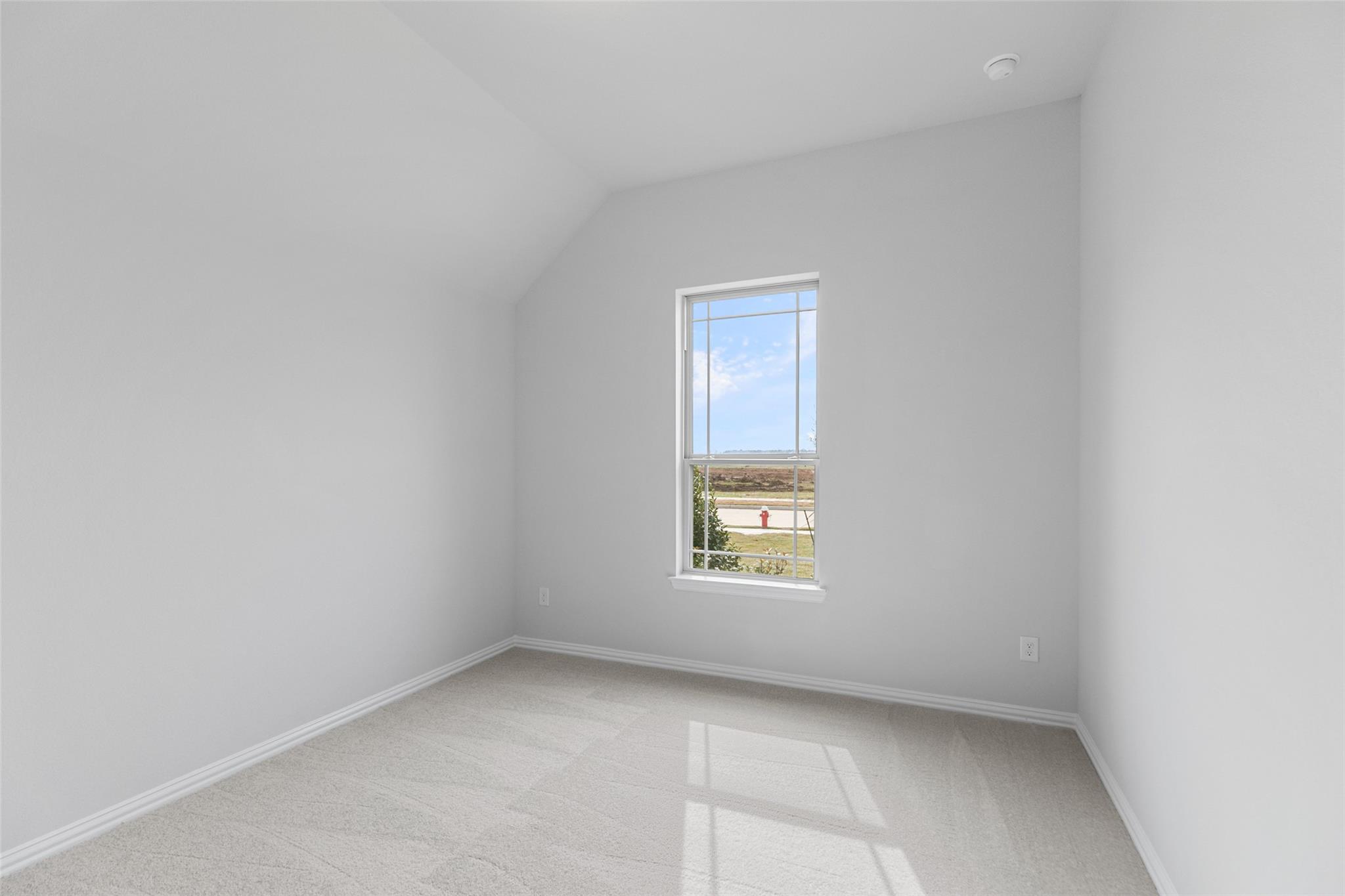 803 Evergreen Forest Lane