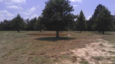 Photo of 32519 Gadwall Street, Brookshire, TX 77423 (MLS # 11820500)