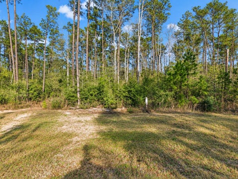 Photo of 10721 Ruger Road, Willis, TX 77378 (MLS # 14018285)
