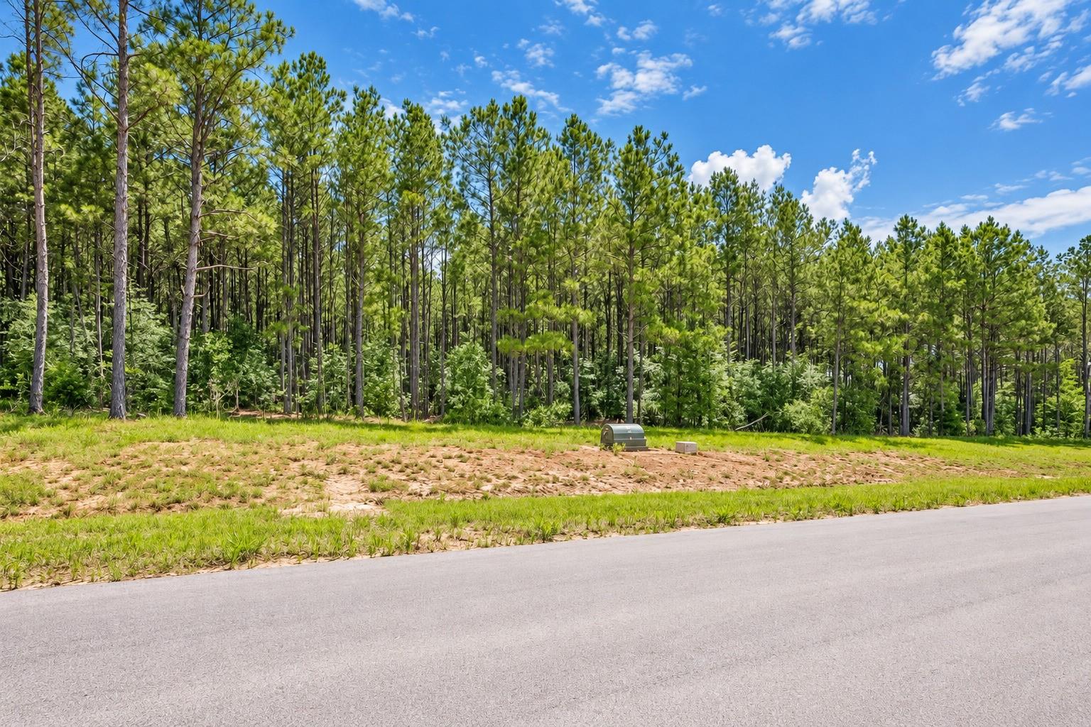 10721 Ruger Road
