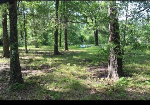 Vacant Land For Sale - 211 Panther Lane<br/> Livingston, TX 77351