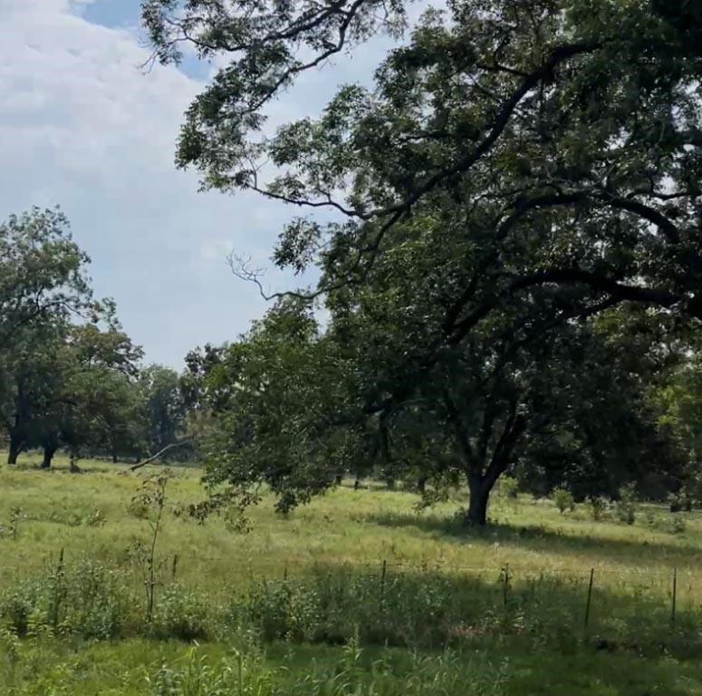 (20 AC) TBD Hwy 21 E,