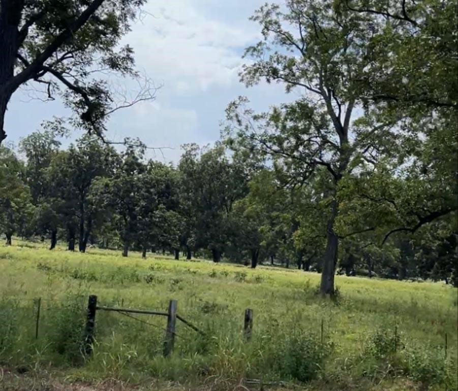 (20 AC) TBD Hwy 21 E,
