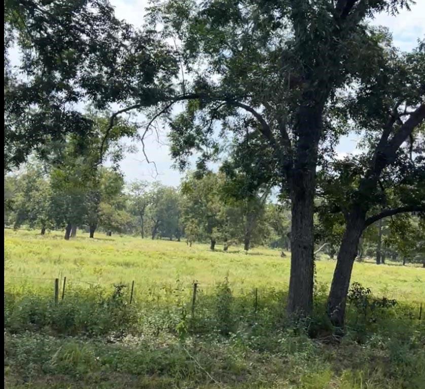 (20 AC) TBD Hwy 21 E,