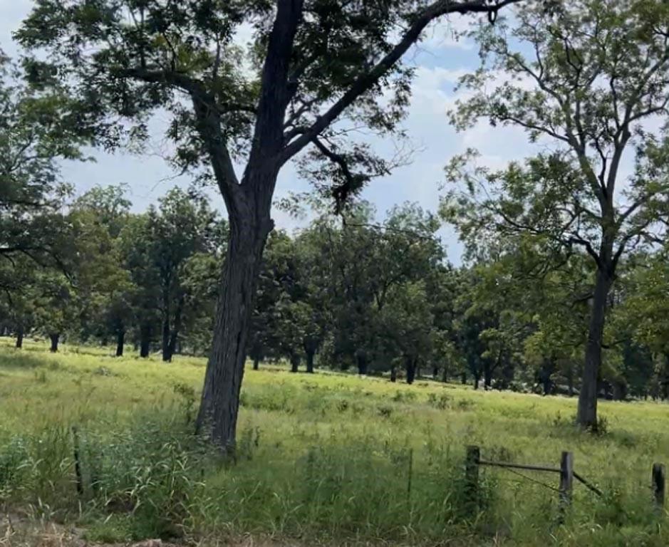 (20 AC) TBD Hwy 21 E,