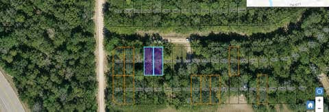 Photo of 435 Wake Forest Dr, Livingston, TX 77351 (MLS # 4746645)
